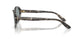 3172/1 - Tortoise - Light Grey