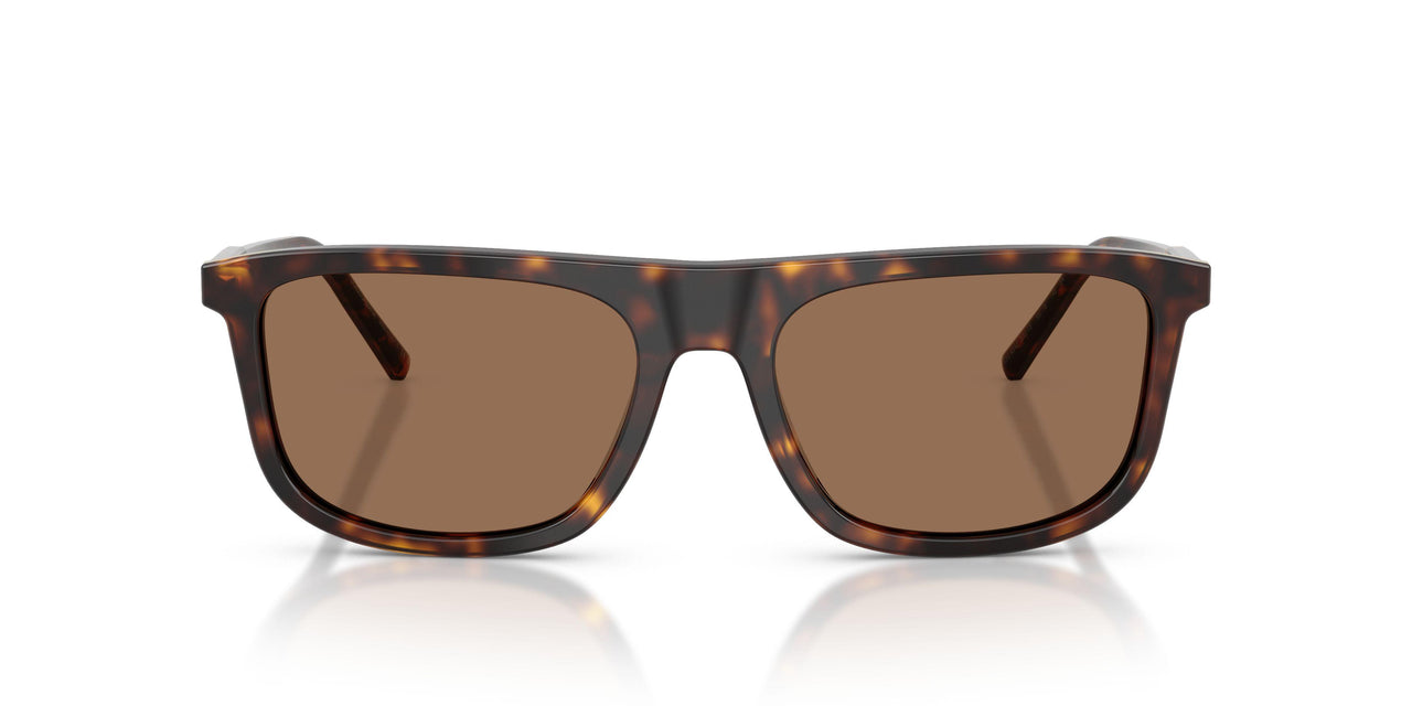 502/73 - Tortoise - Dark Brown