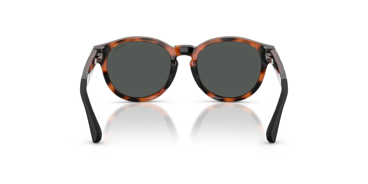 597487 - Tortoise - Dark Grey