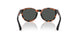 597487 - Tortoise - Dark Grey