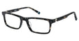 02 - Forest Green-black Tort