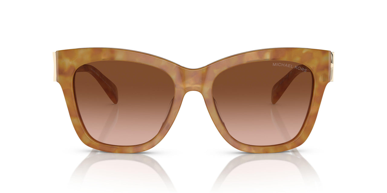 32883B - Tortoise - Amber Gradient