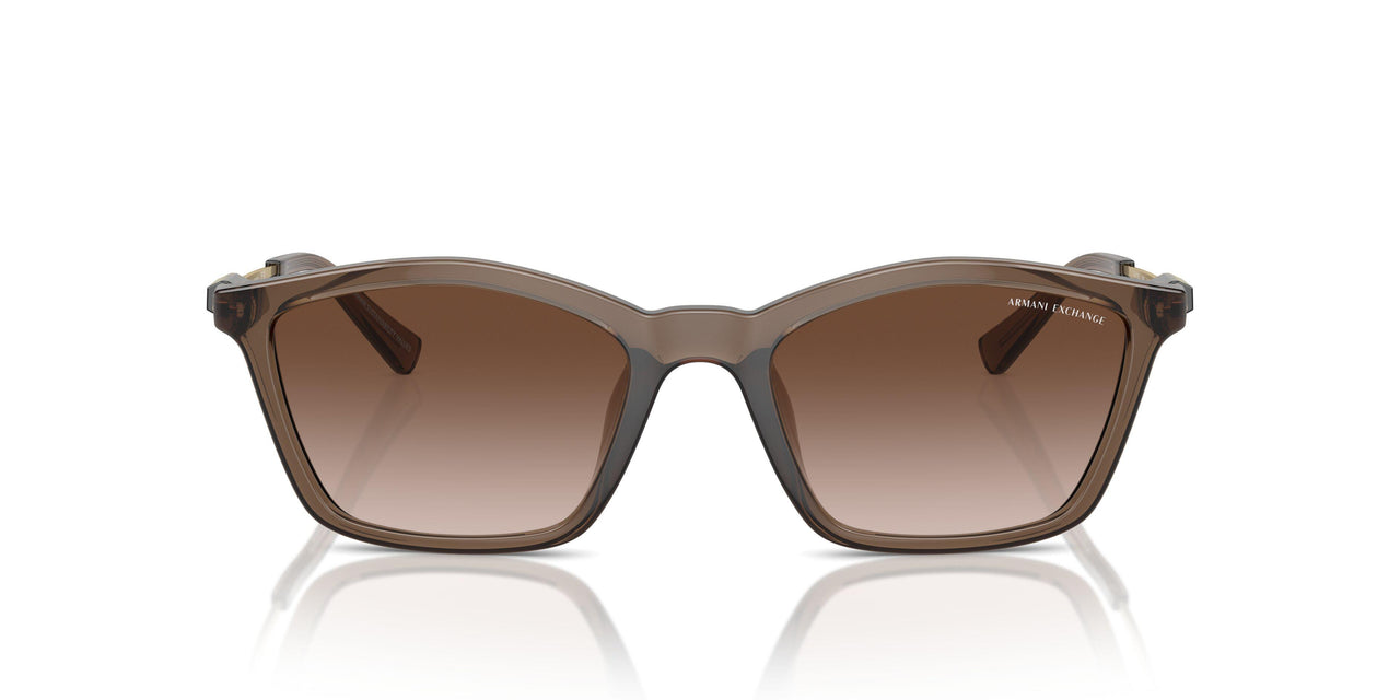 834913 - Brown - Gradient Brown