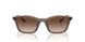 834913 - Brown - Gradient Brown