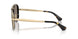 11095A - Tortoise - Light Brown Mirror Gold