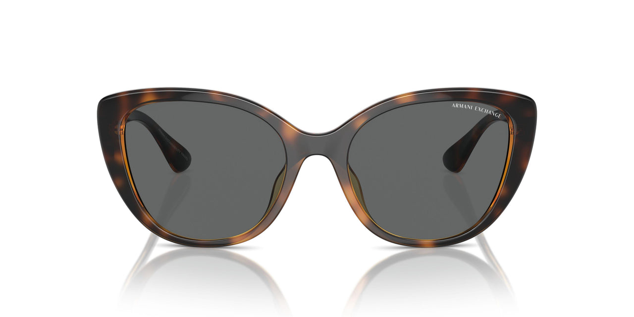 821387 - Tortoise - Dark Grey