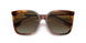 3316T5 - Havana - Gradient Brown Polar