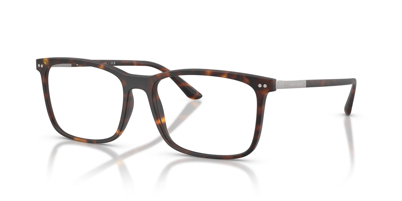 6417 - Tortoise