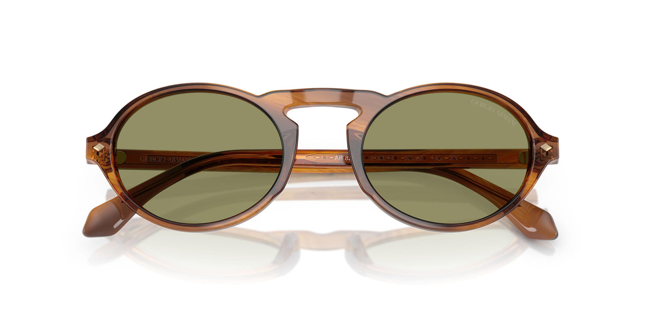 616314 - Tortoise - Green