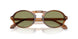 616314 - Tortoise - Green