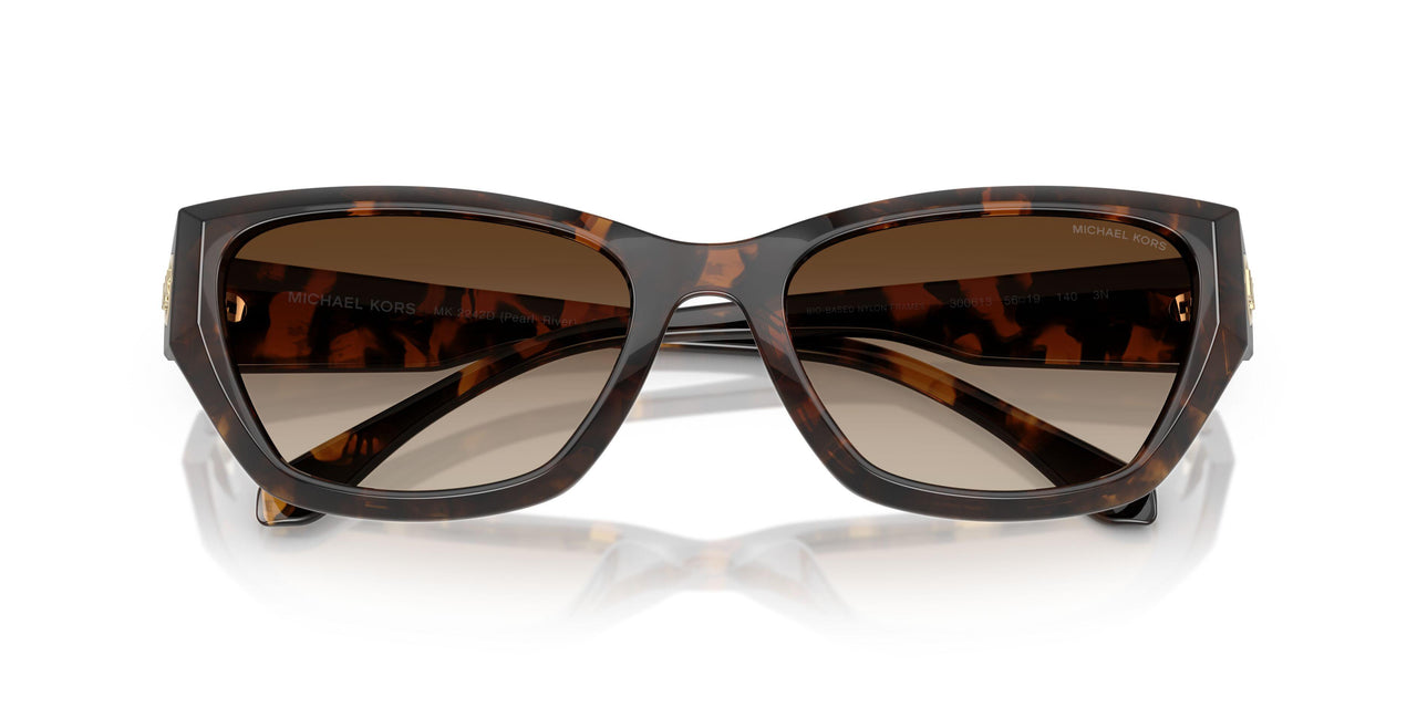300613 - Tortoise - Smoke Gradient