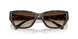 300613 - Tortoise - Smoke Gradient