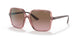 288314 - Pink - Violet Gradient Brown