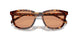 14O07V - Tortoise - Orange