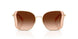900574 - Brown - Brown Gradient