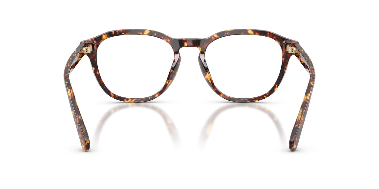 5974 - Tortoise