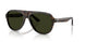 1747P1 - Tortoise - G-15 Polarized