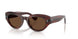 1818AN - Brown - Terra Polarized