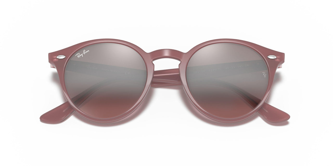 616613 - Turtledove - Brown Gradient