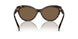500373 - Tortoise - Brown