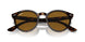 902/33 - Tortoise - Brown