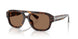 Dolce & Gabbana 4561 Sunglasses