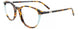 Takumi TK1259 Eyeglasses