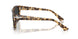105648 - Tortoise - Polar Black