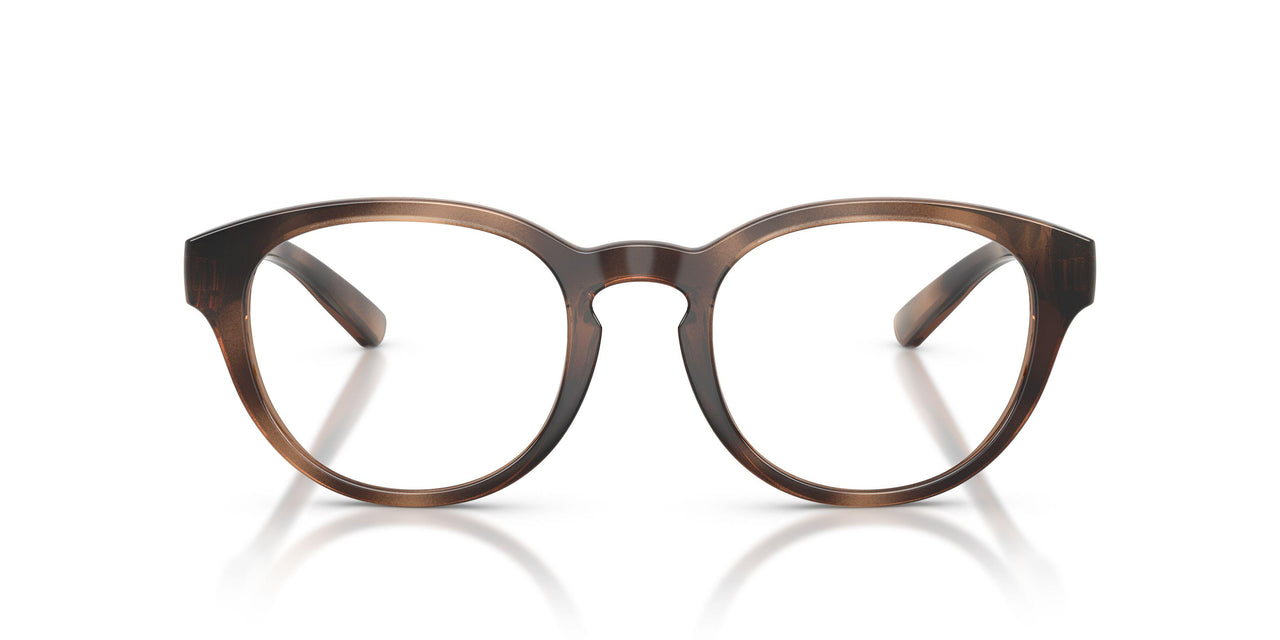 6070 - Tortoise