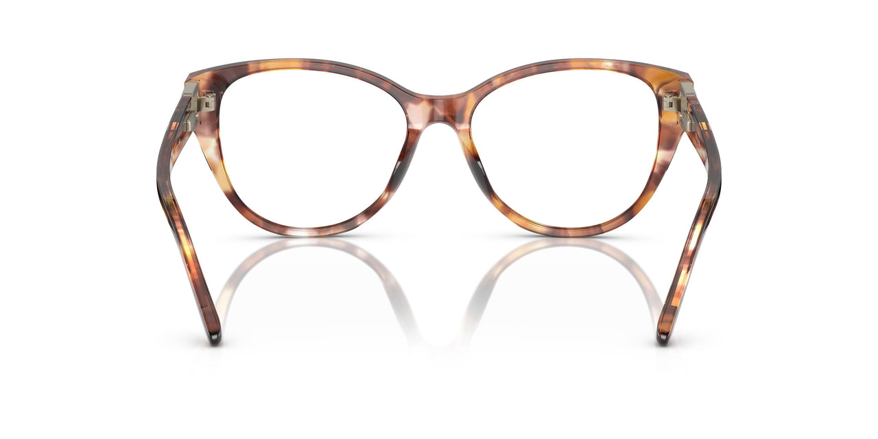 6093 - Tortoise