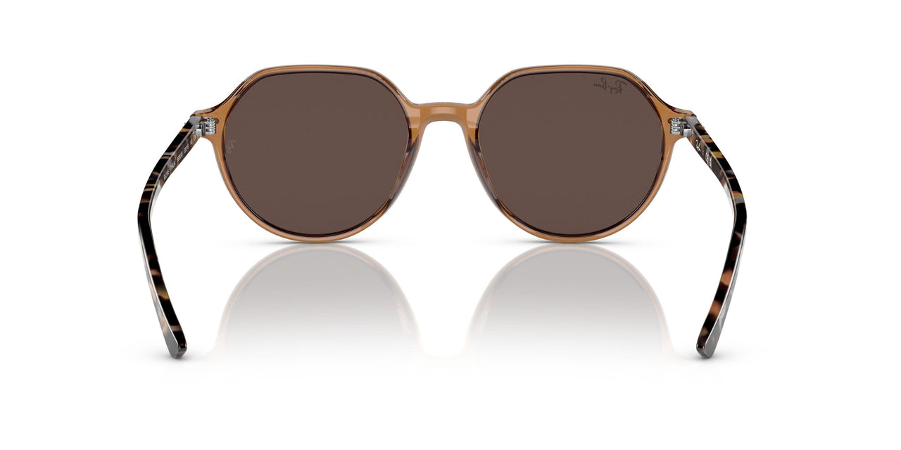 663693 - Brown - Light Brown Mirror Gold