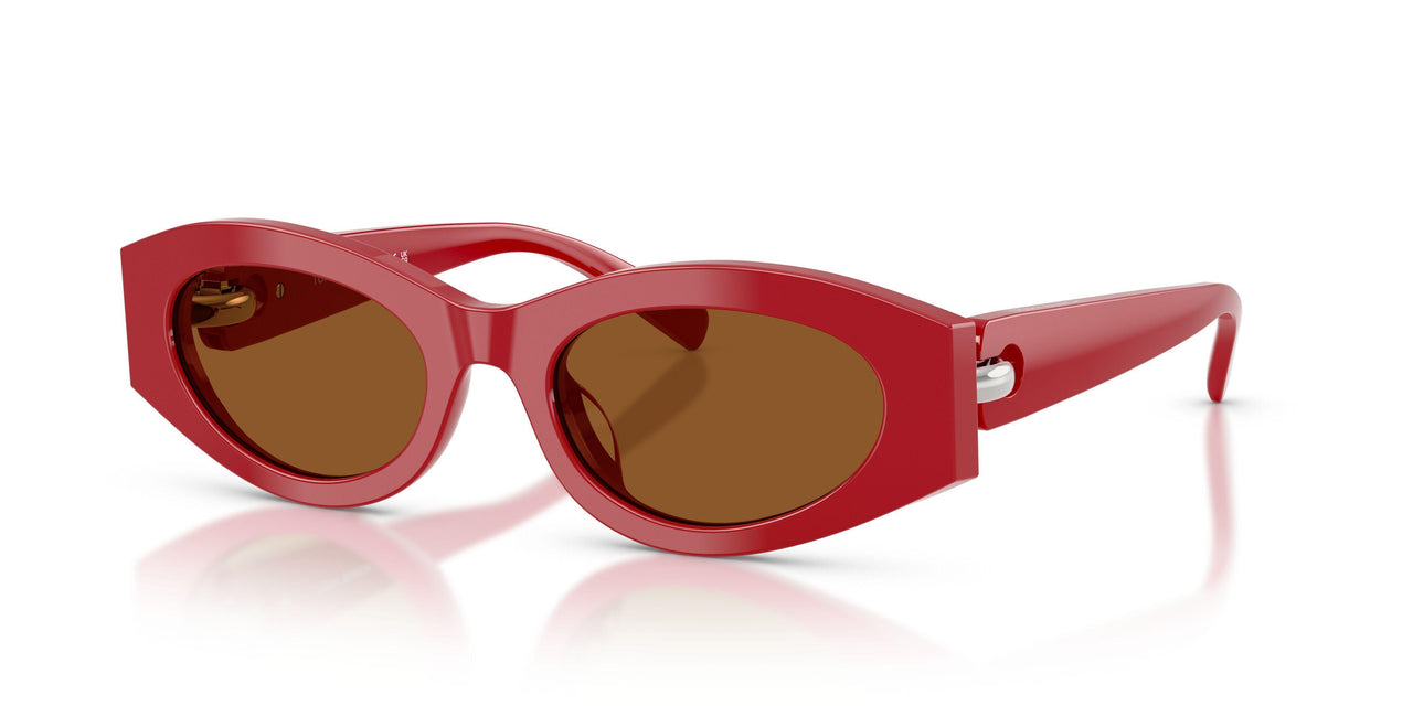 189373 - Red - Dark Brown