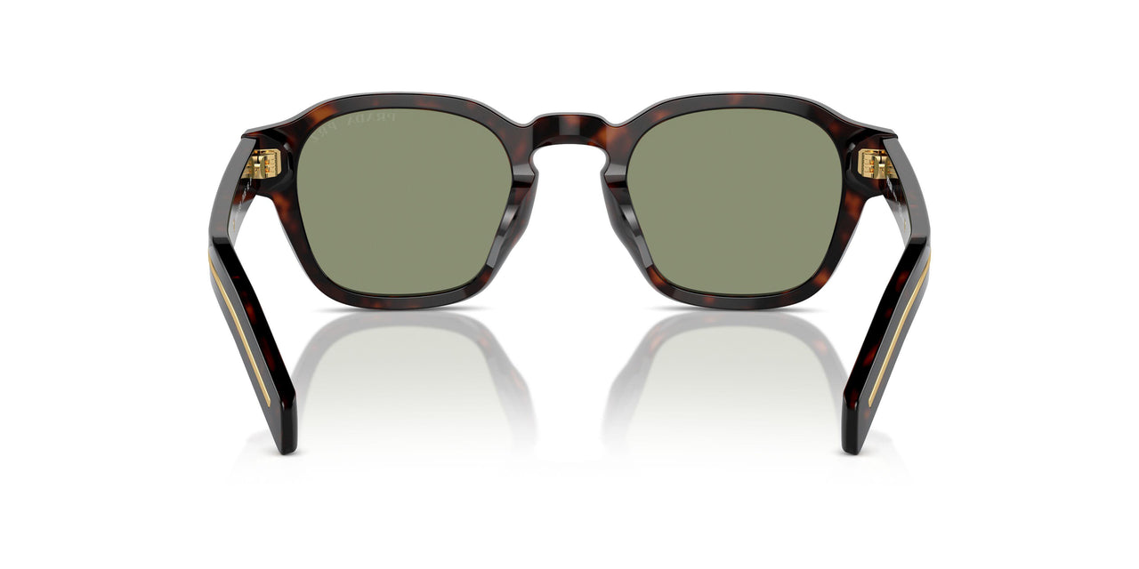 17N20G - Havana - Polarized Green