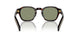 17N20G - Havana - Polarized Green