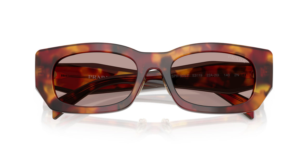 22A20I - Tortoise - Light Purple Brown