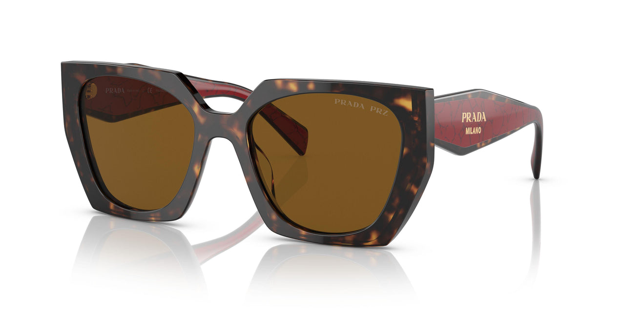 2AU5Y1 - Havana - Dark Brown Polar