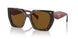 2AU5Y1 - Havana - Dark Brown Polar
