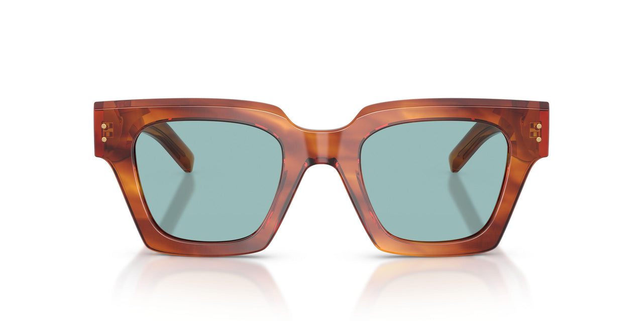 322180 - Tortoise - Blue