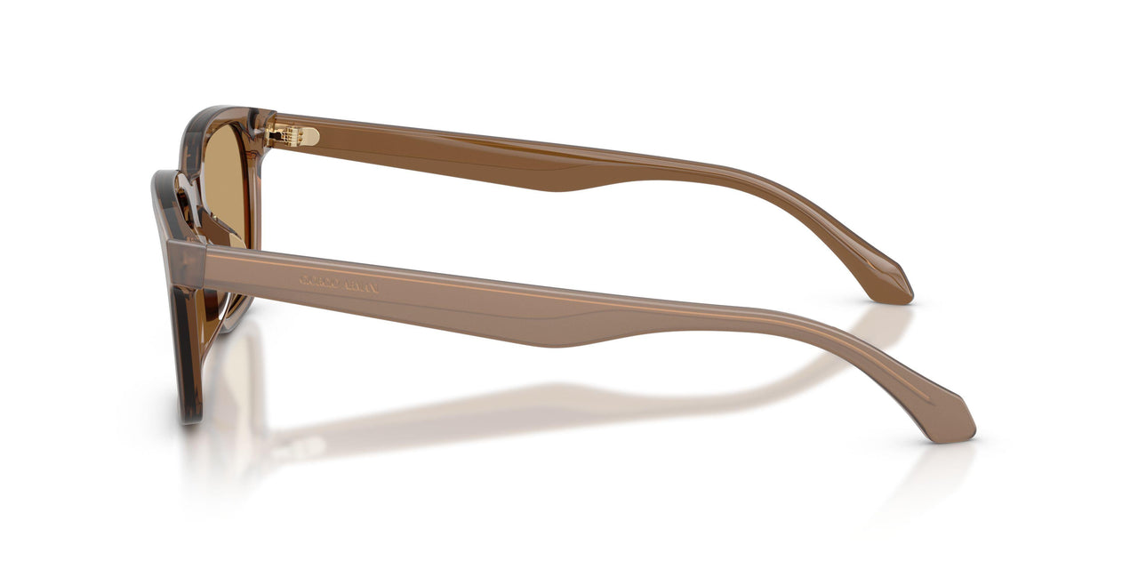 647573 - Brown - Brown