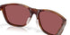 912407 - Tortoise - Gold Mirror