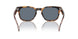 28194Y - Tortoise - Blue Polarized
