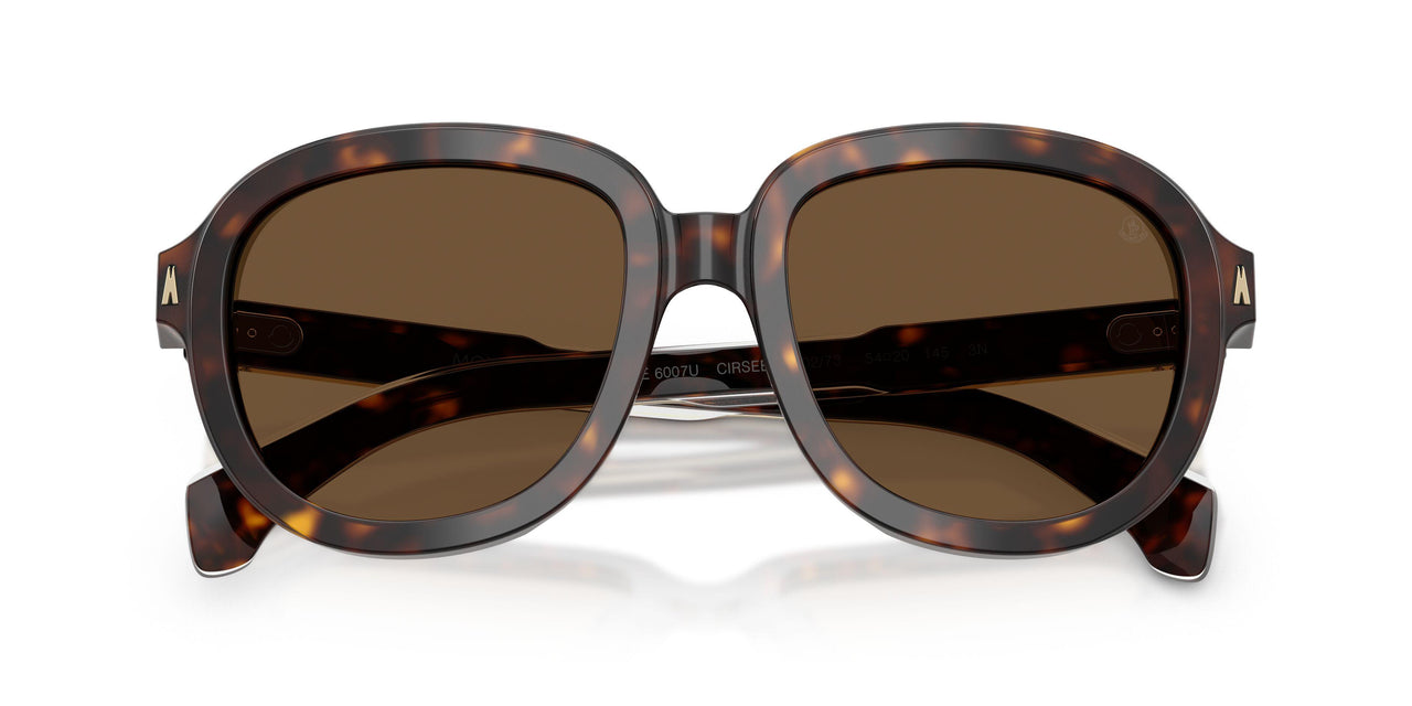 300273 - Tortoise - Brown Solid