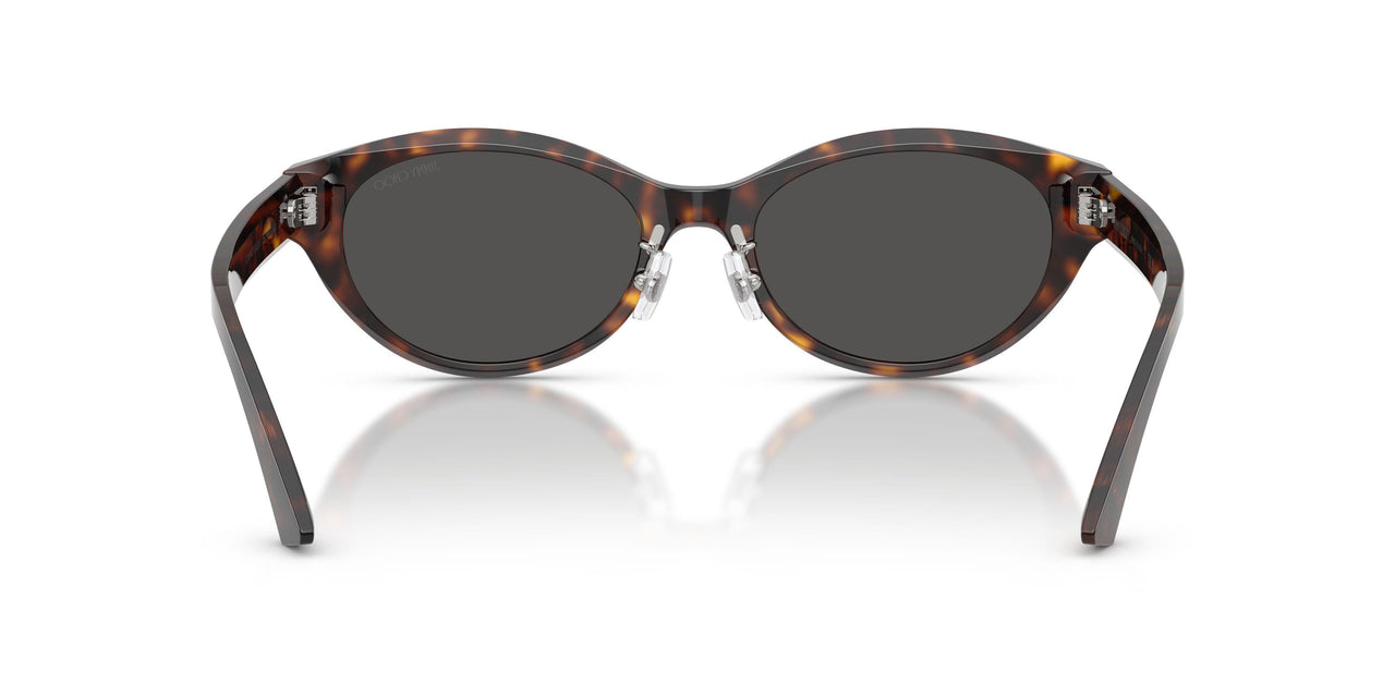500287 - Tortoise - Dark Grey