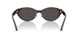 500287 - Tortoise - Dark Grey