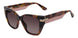 Stuart Weitzman WZN8012 Sunglasses
