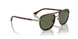 114458 - Havana - Green Polar