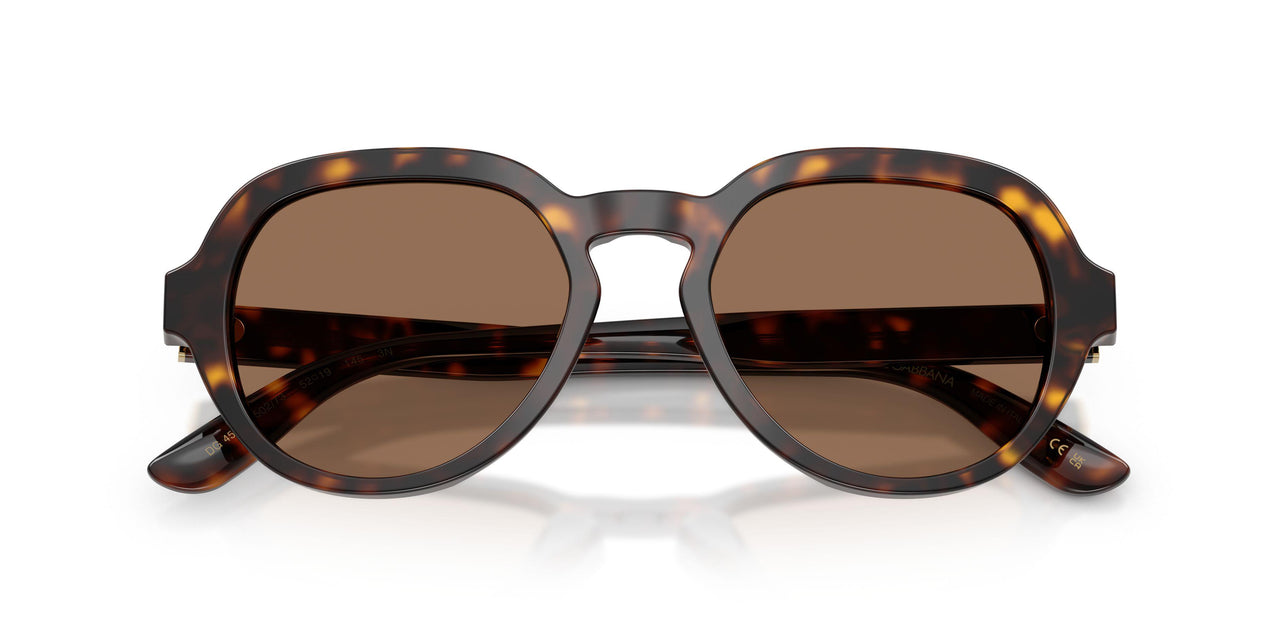 502/73 - Tortoise - Dark Brown