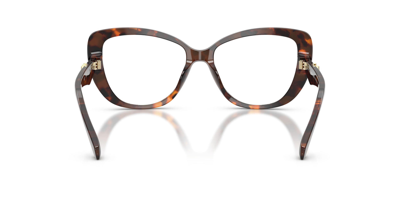 4031 - Tortoise