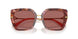344469 - Tortoise - Dark Violet