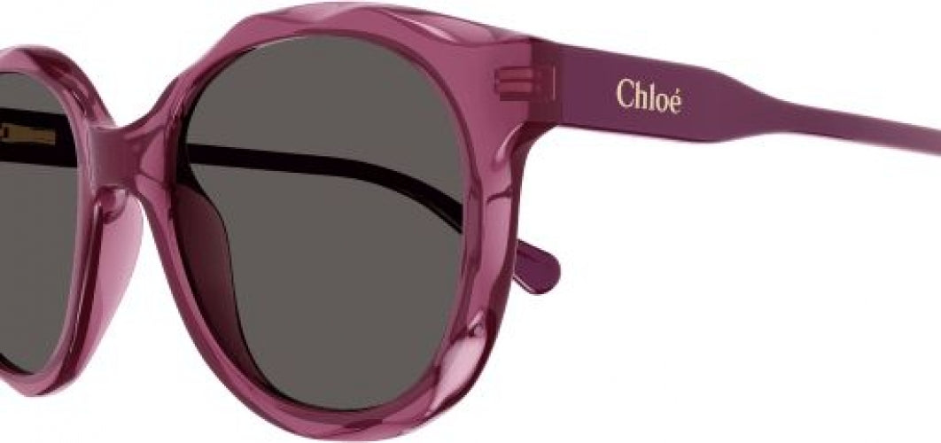 Chloe.N Chloe - ChloÃ© Phoenix 90 leather knee-high boots
